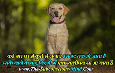 Dog Shayari in Hindi