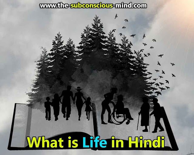 What is Life in Hindi